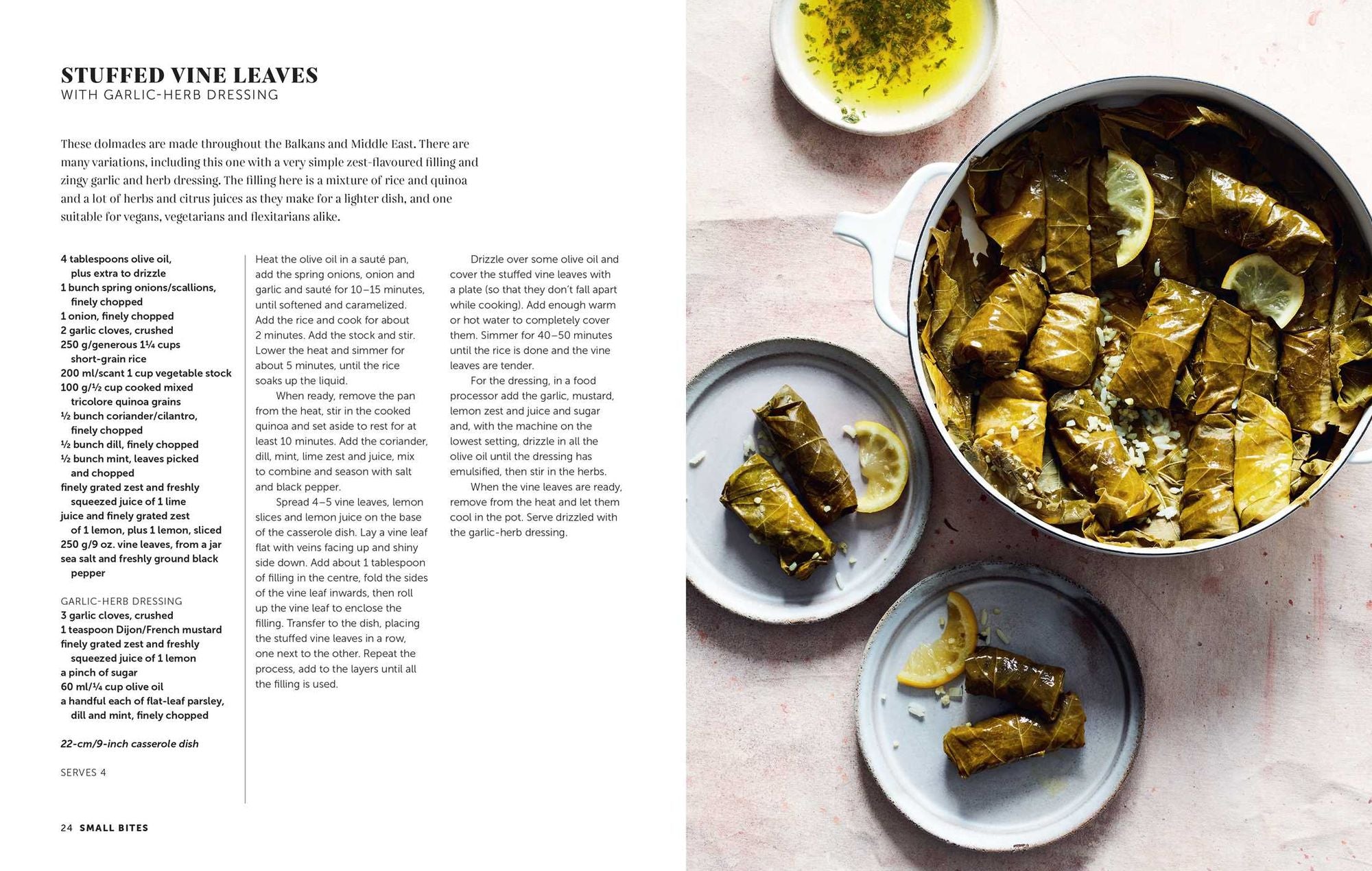 Zest: Fresh & vibrant recipes for citrus fruit