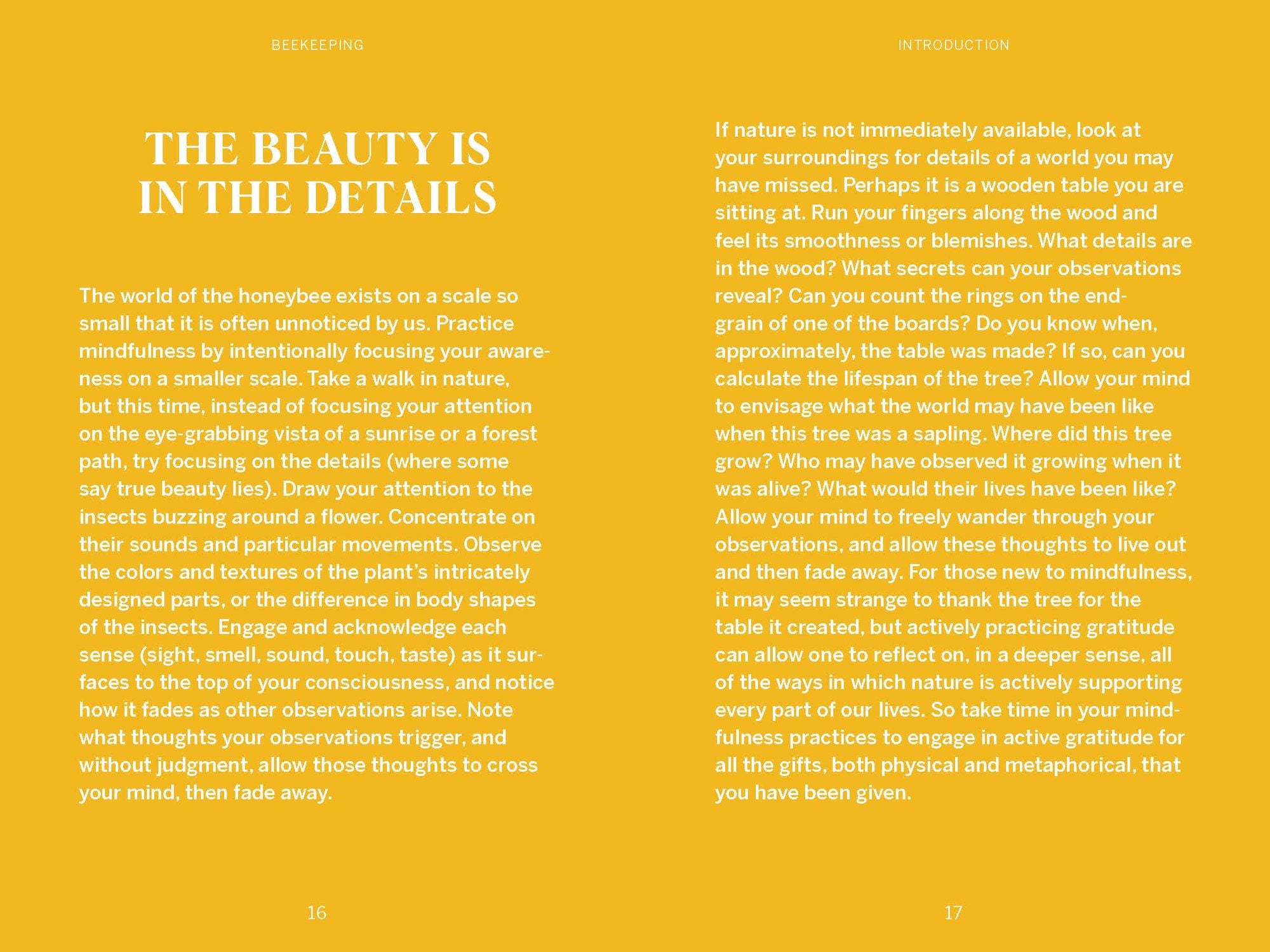 Pocket Nature: Beekeeping: Explore the Marvelous World of Honeybees