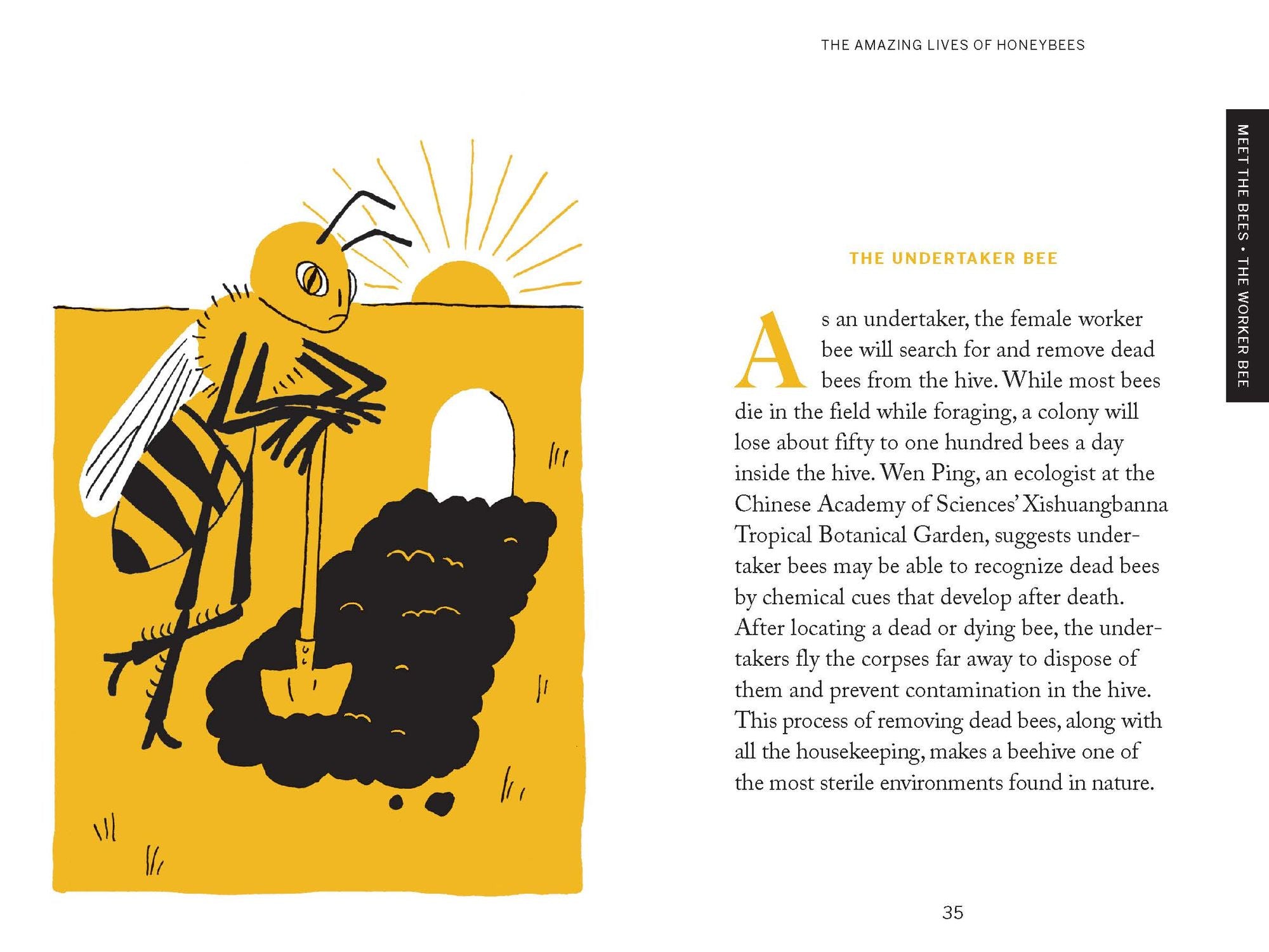 Pocket Nature: Beekeeping: Explore the Marvelous World of Honeybees