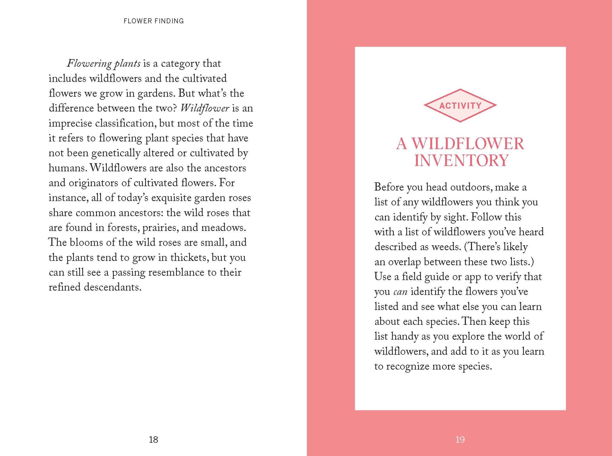 Pocket Nature: Flower Finding: Delight in the Splendor of Wild Blooms