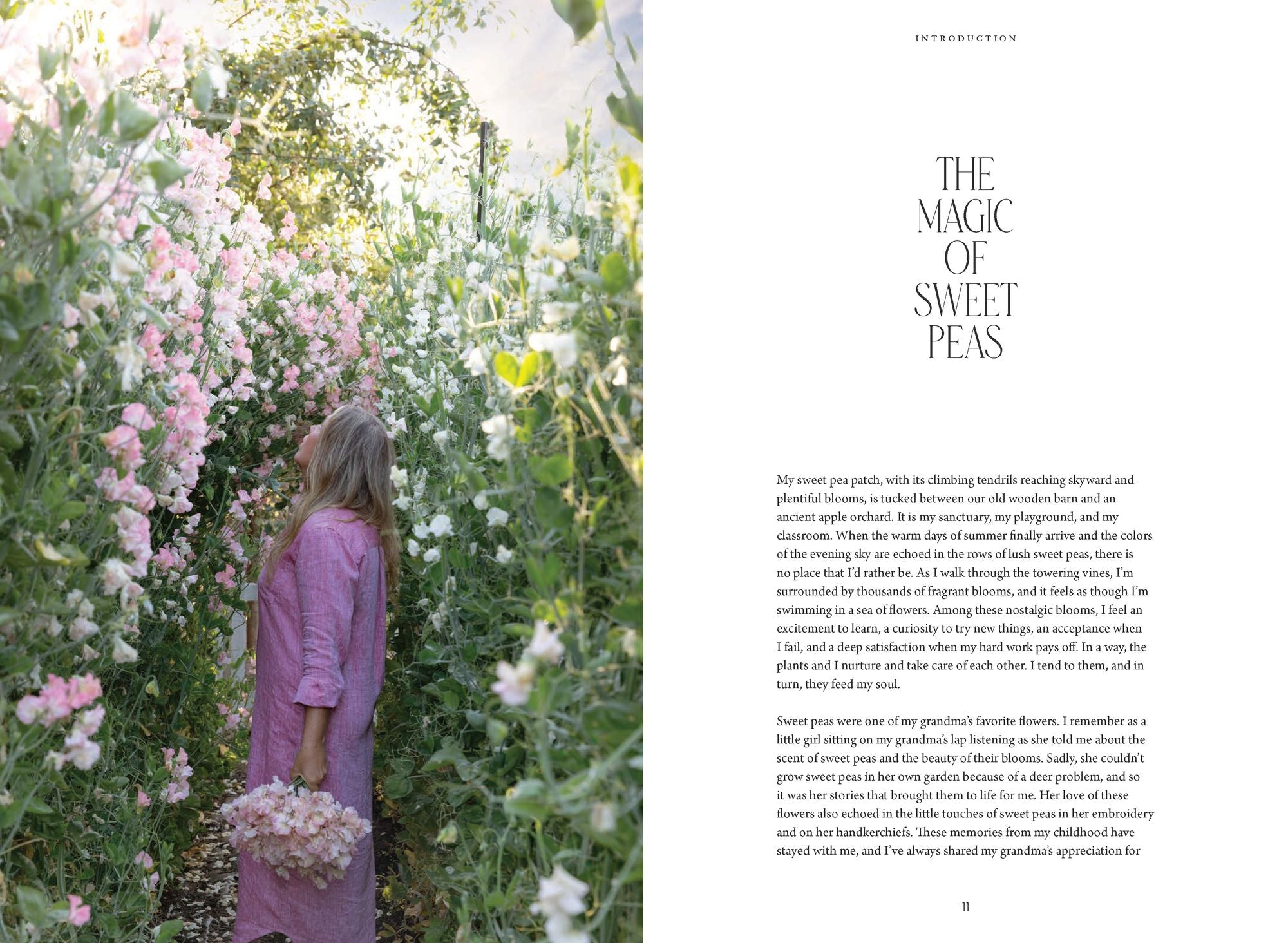 Sweet Pea School: Growing & Arranging the Garden's Most Romantic Blooms