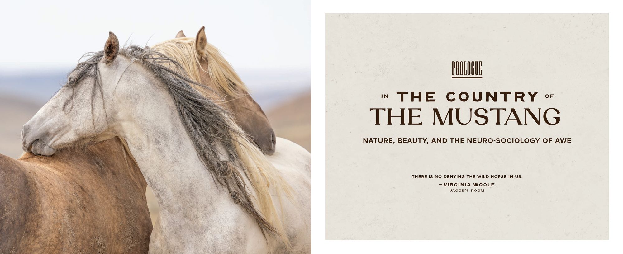 The Wild Horse Effect: Awe, Well-Being, and the Transformative Power of Nature