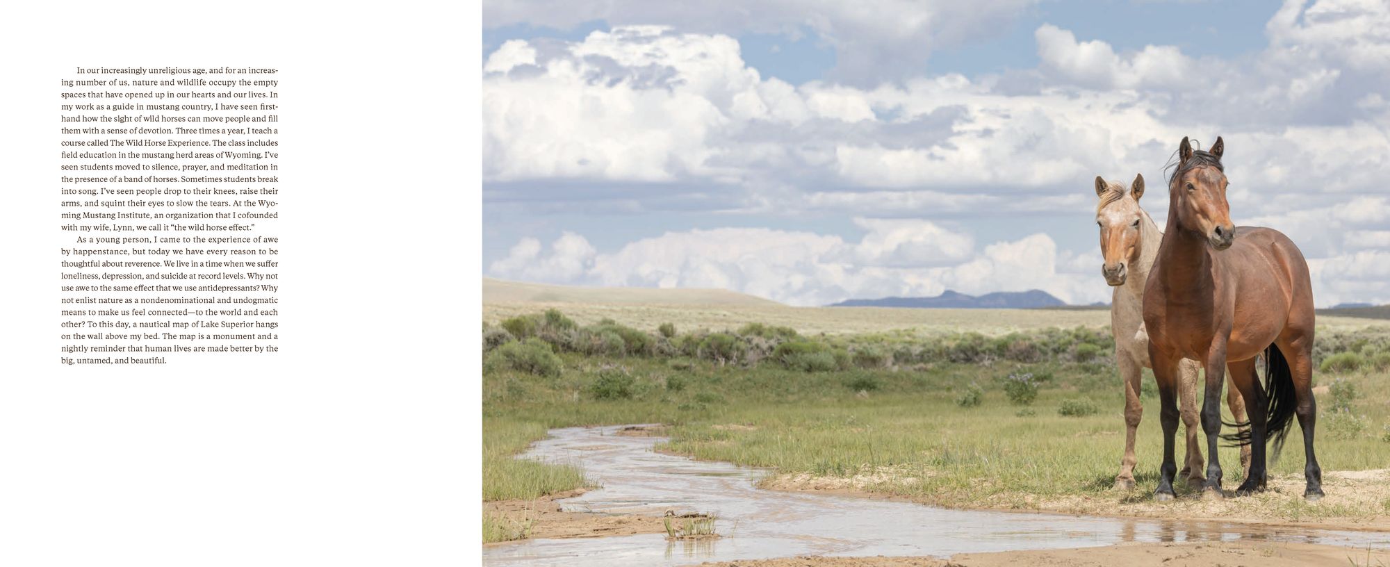 The Wild Horse Effect: Awe, Well-Being, and the Transformative Power of Nature