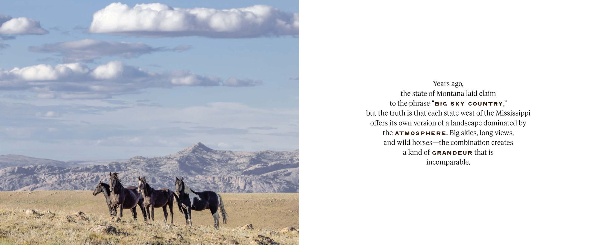 The Wild Horse Effect: Awe, Well-Being, and the Transformative Power of Nature