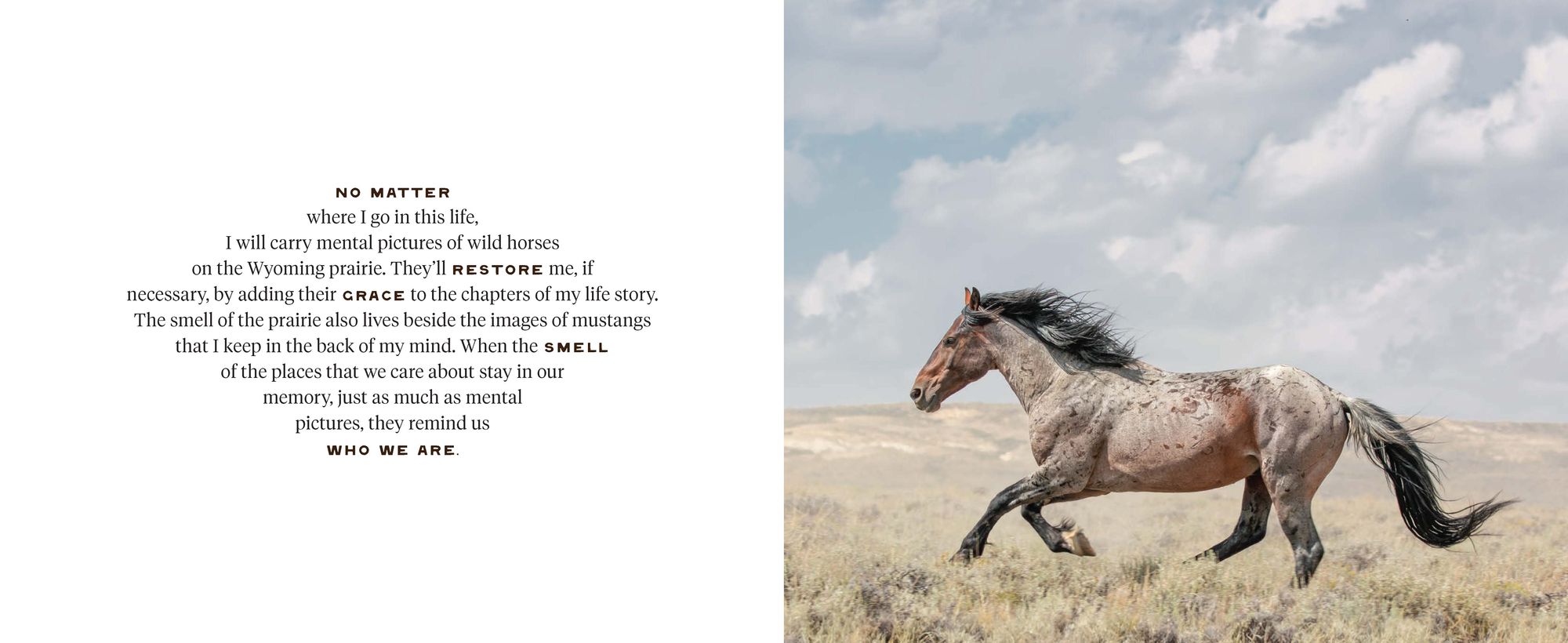 The Wild Horse Effect: Awe, Well-Being, and the Transformative Power of Nature