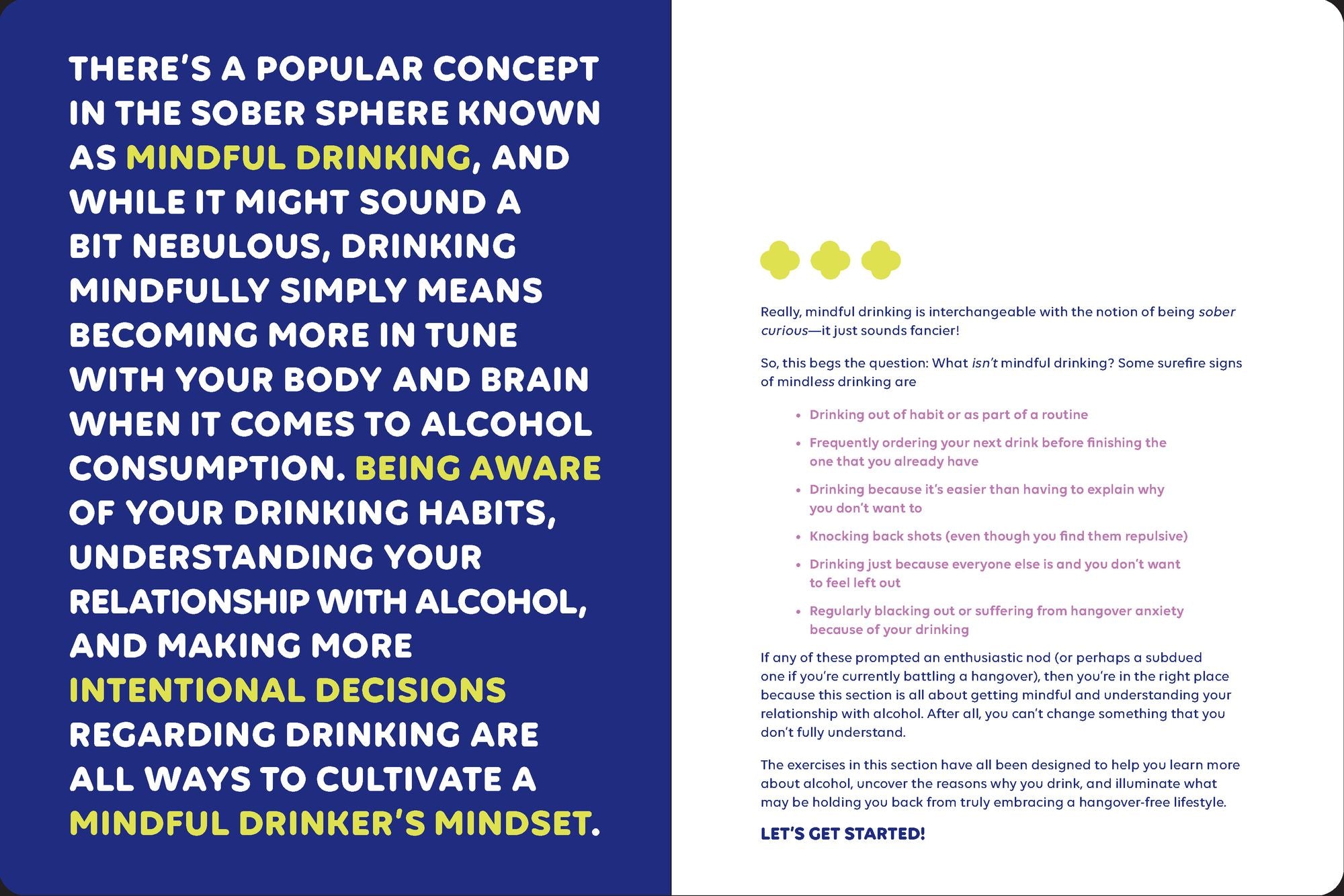 Booze Less: Rethinking Drinking for the Sober & Curious-A Guided Journal