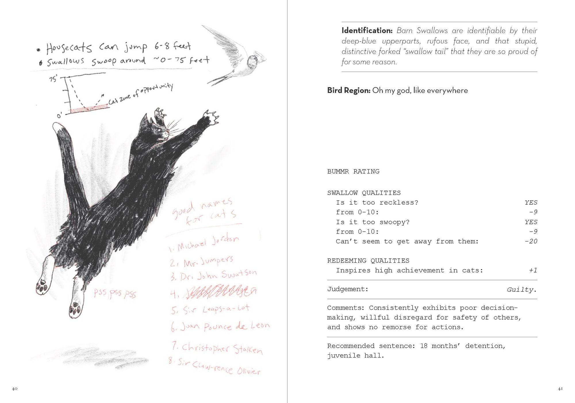 A Dumb Birds Field Guide to the Worst Birds Ever