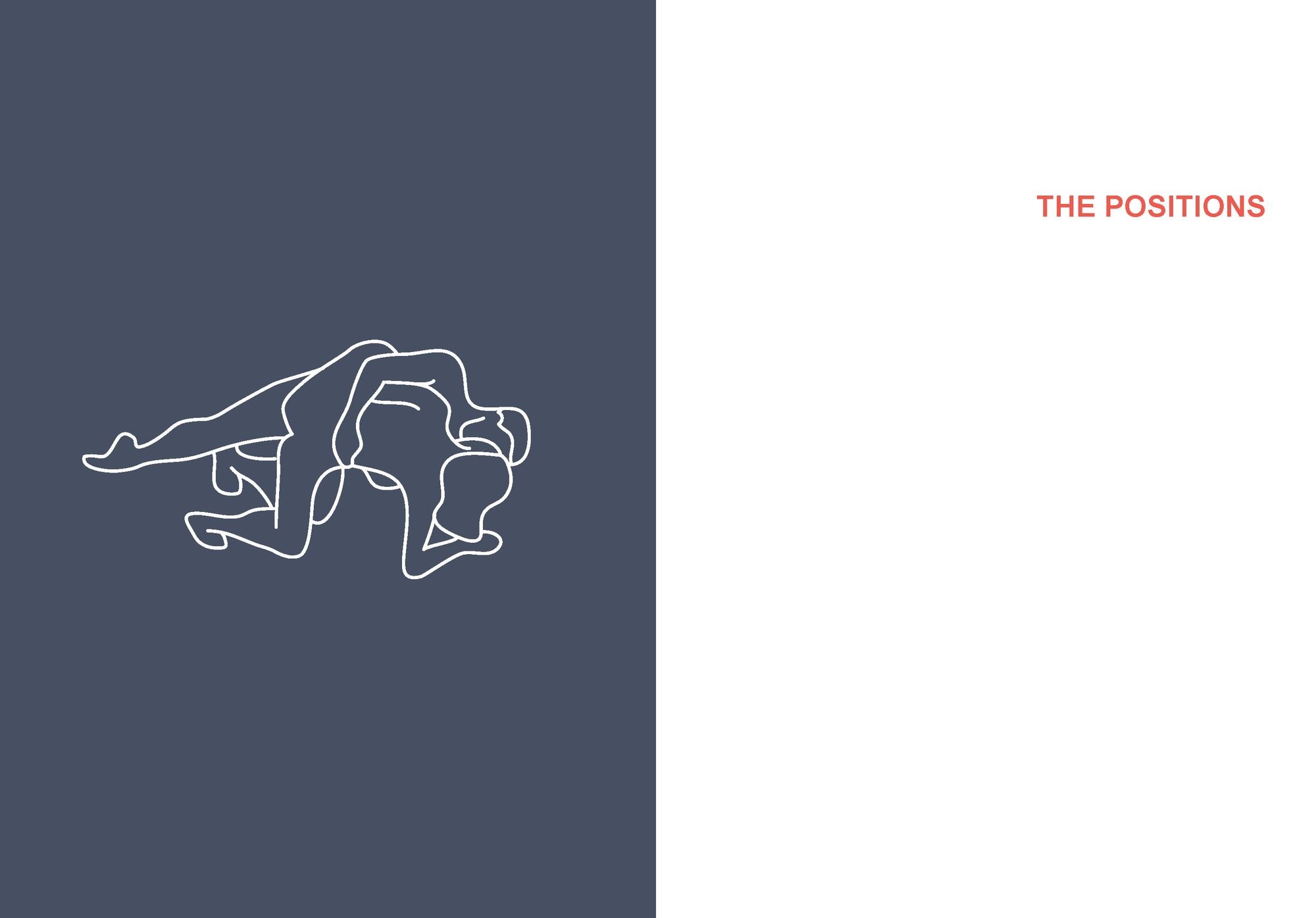 Position of the Day Playbook Revised and Updated: Sex Every Day in Every Way