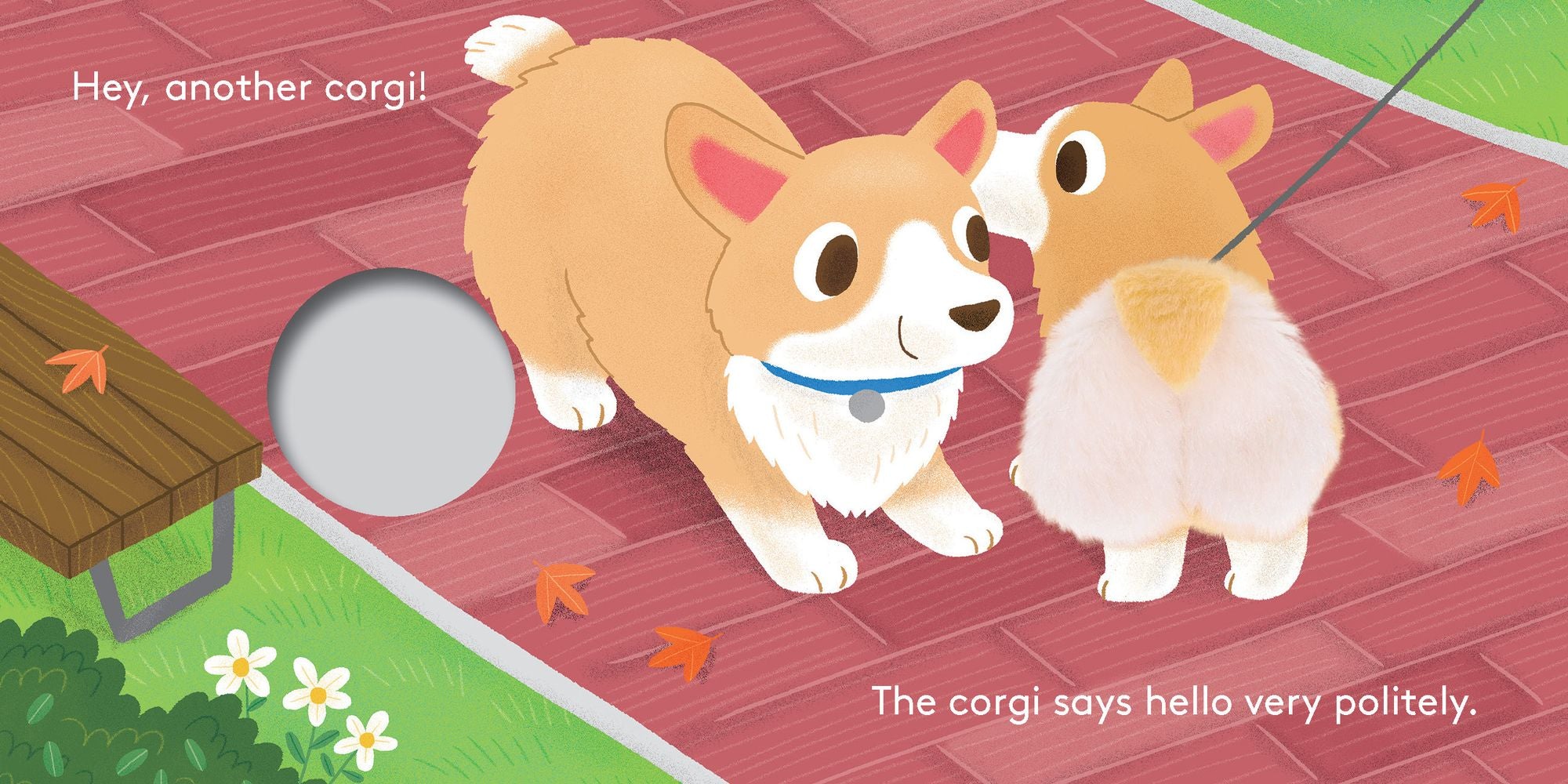 Baby Corgi Butt: Little Finger Puppet Book