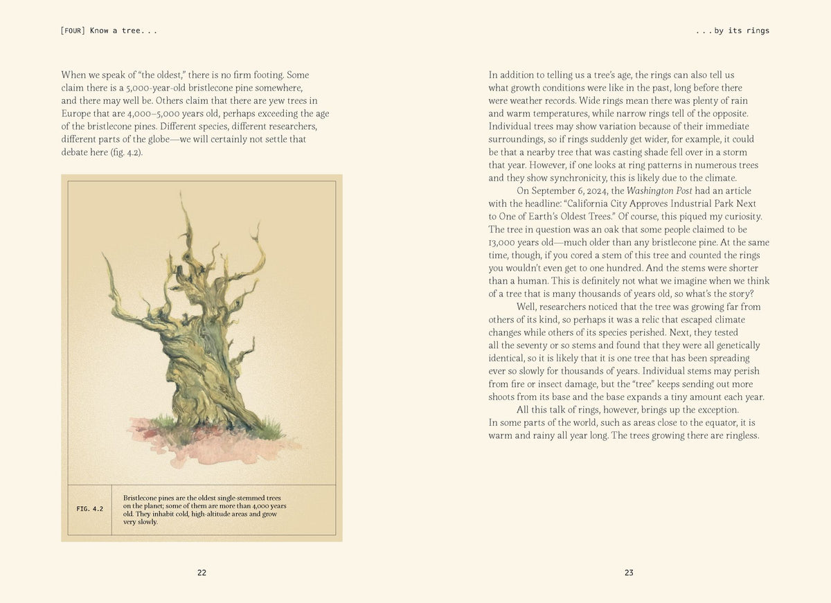 Forty Ways to Know a Tree: Exploring Trees to Understand Nature