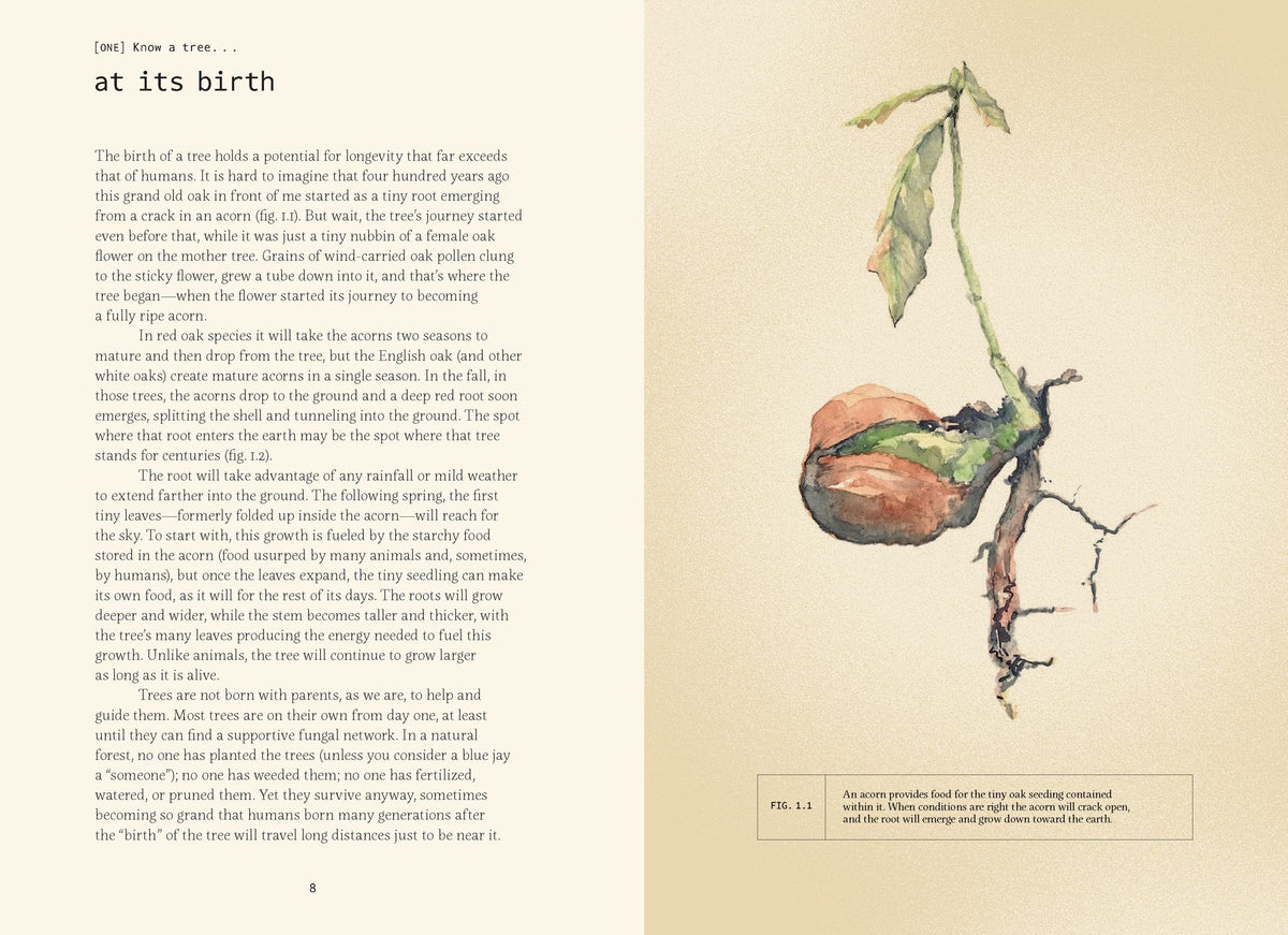 Forty Ways to Know a Tree: Exploring Trees to Understand Nature