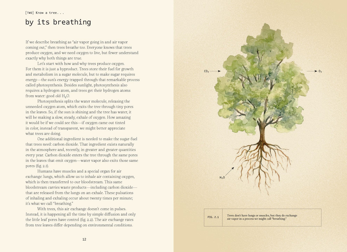 Forty Ways to Know a Tree: Exploring Trees to Understand Nature