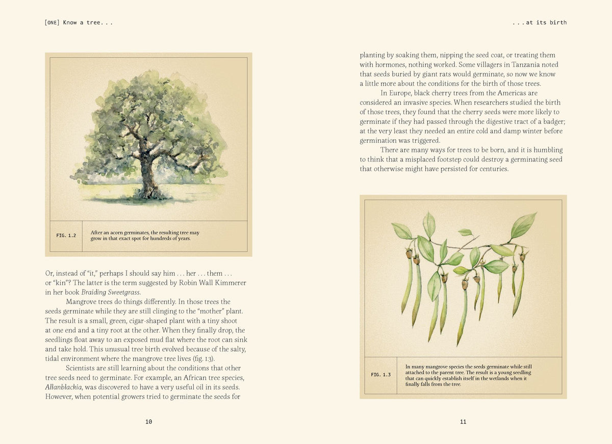 Forty Ways to Know a Tree: Exploring Trees to Understand Nature