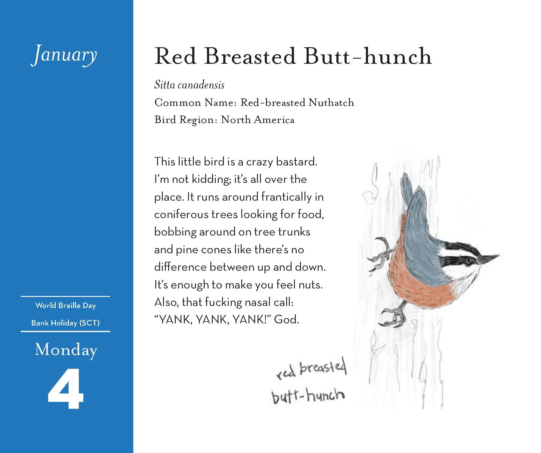 2027 The Field Guide to Dumb Birds Daily Calendar