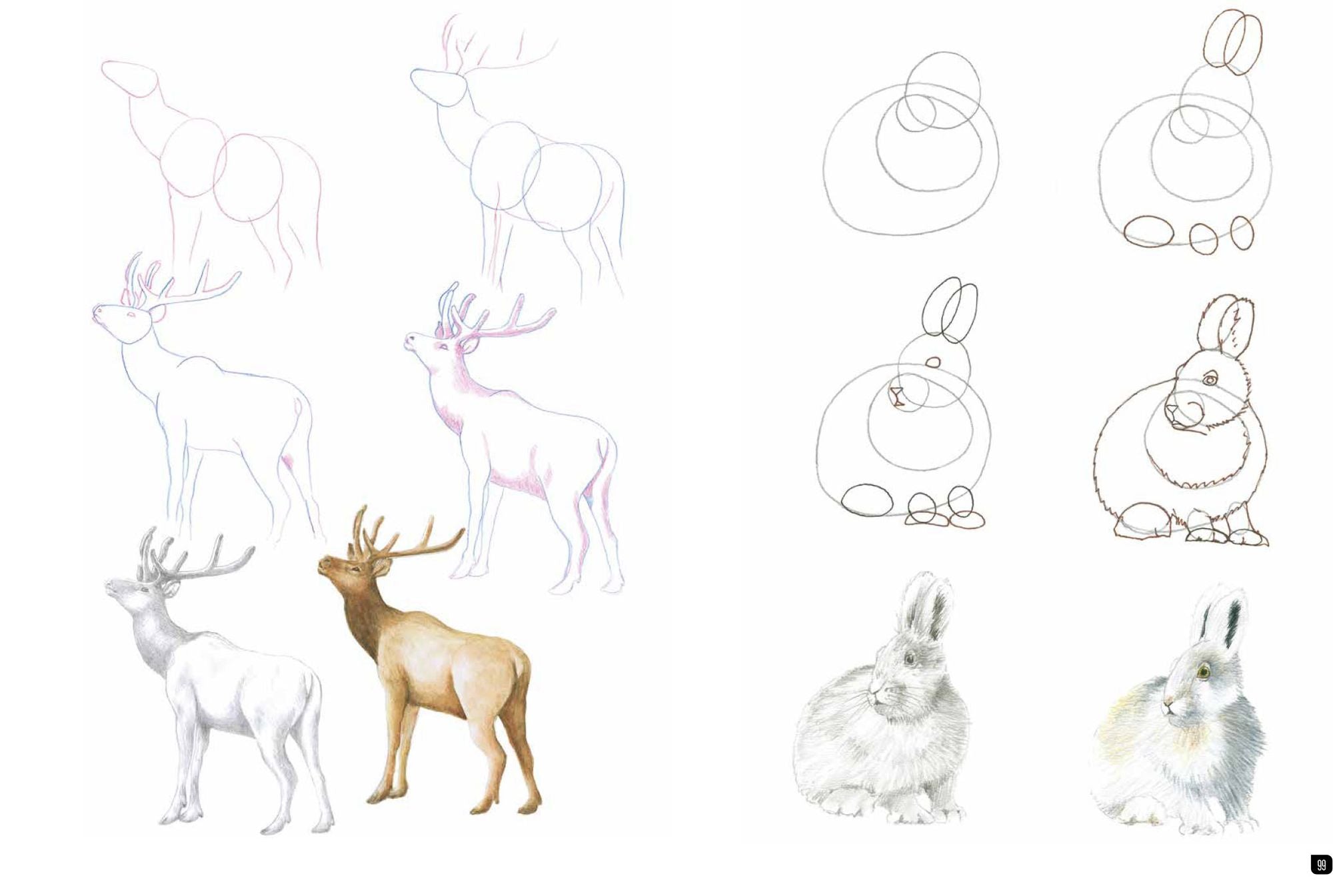Draw 100: Animals: From basic shapes to amazing drawings in super-easy steps