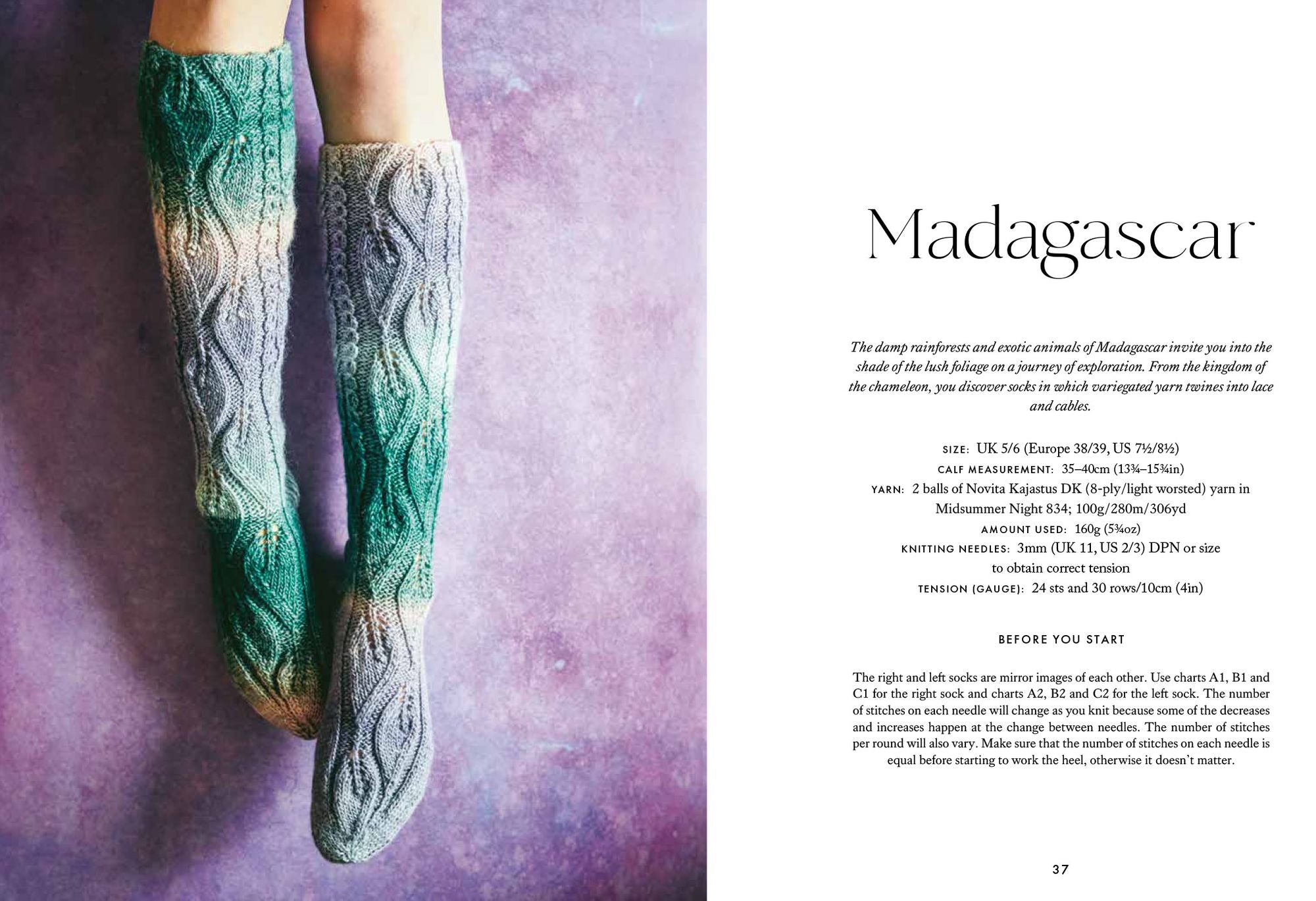 Knitted Socks: 20 gorgeous patterns inspired by places around the world