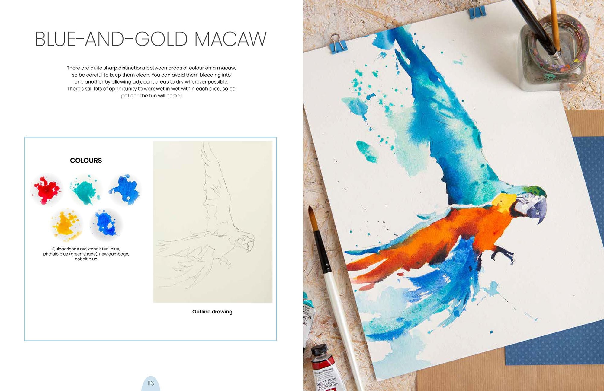 Simply Paint Birds: A complete watercolour course for beginners