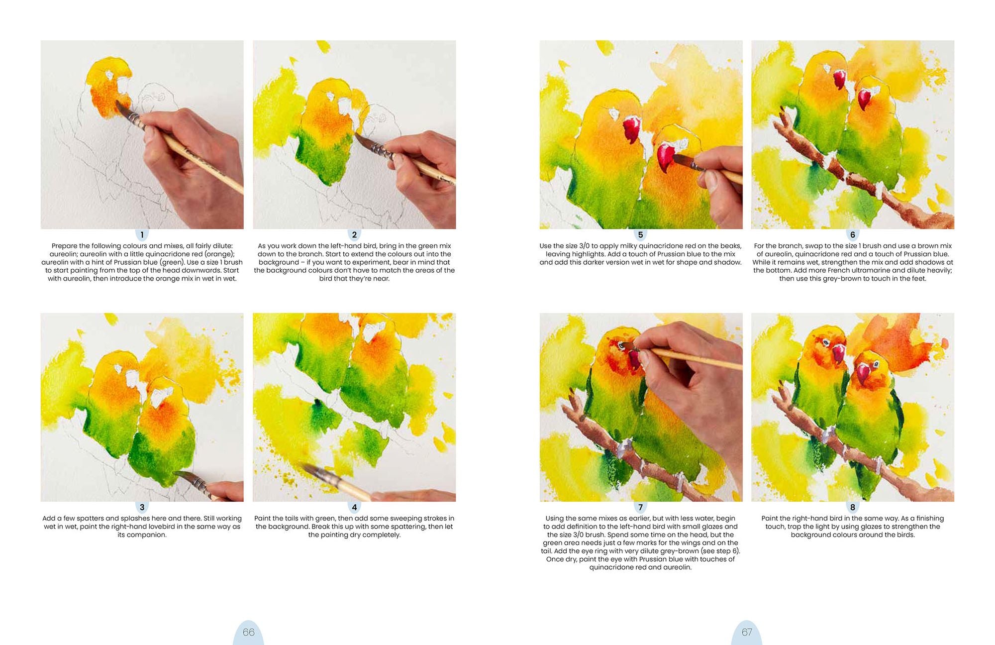 Simply Paint Birds: A complete watercolour course for beginners