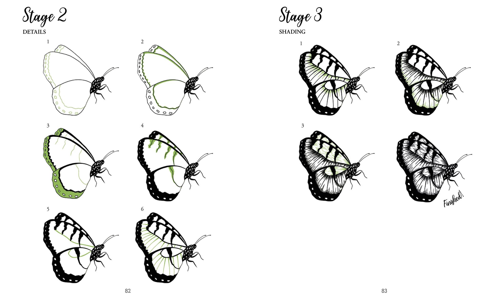 The Kew Book of Drawing Flora and Fauna: 20 stunning step-by-step tutorials