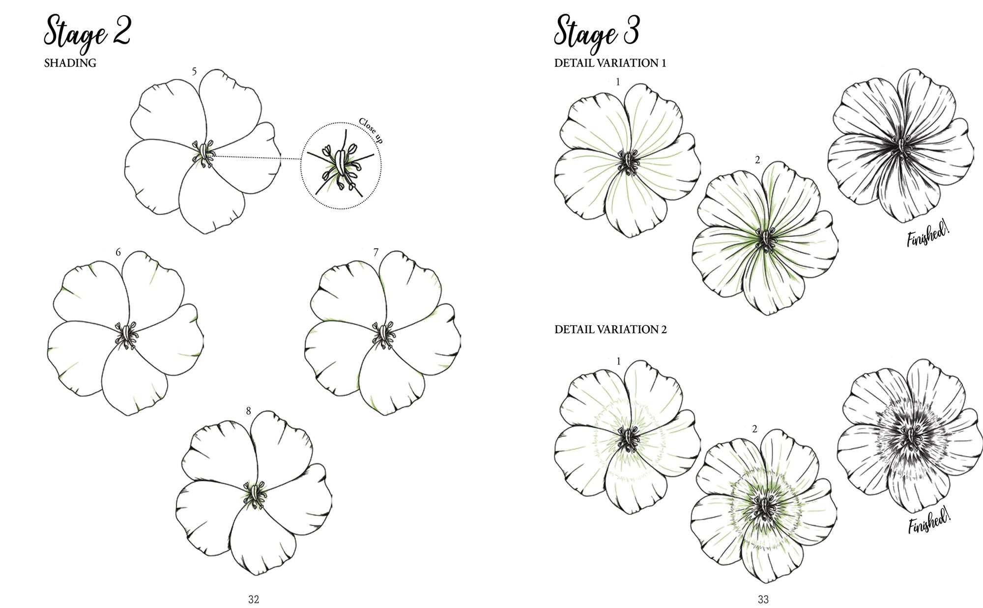 The Kew Book of Drawing Flora and Fauna: 20 stunning step-by-step tutorials