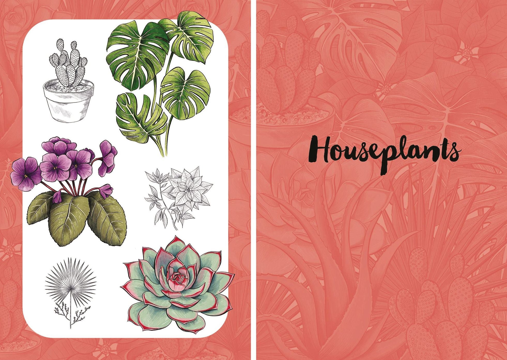 10 Step Drawing: Botanicals: Draw over 50 plants in 10 easy steps