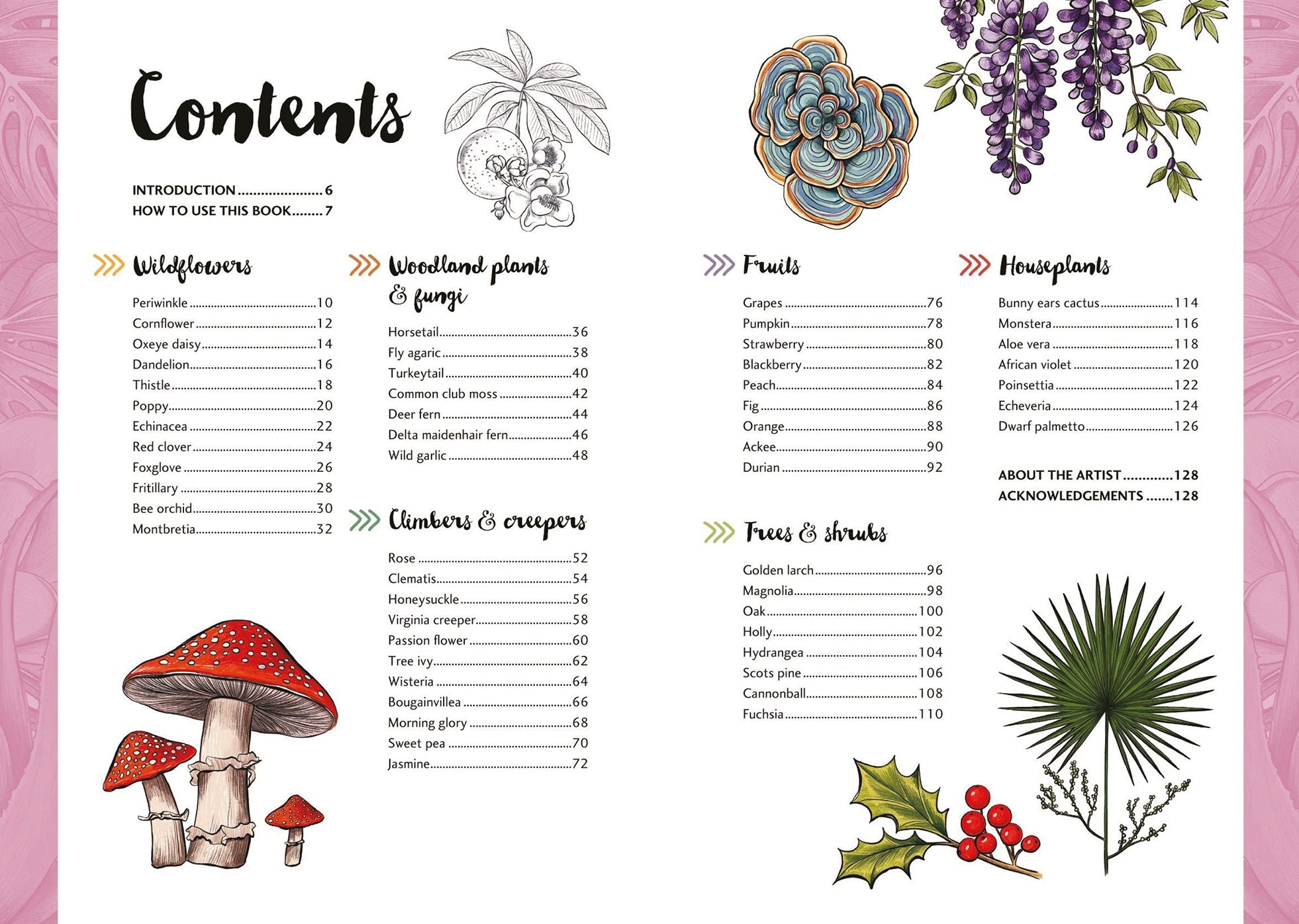 10 Step Drawing: Botanicals: Draw over 50 plants in 10 easy steps