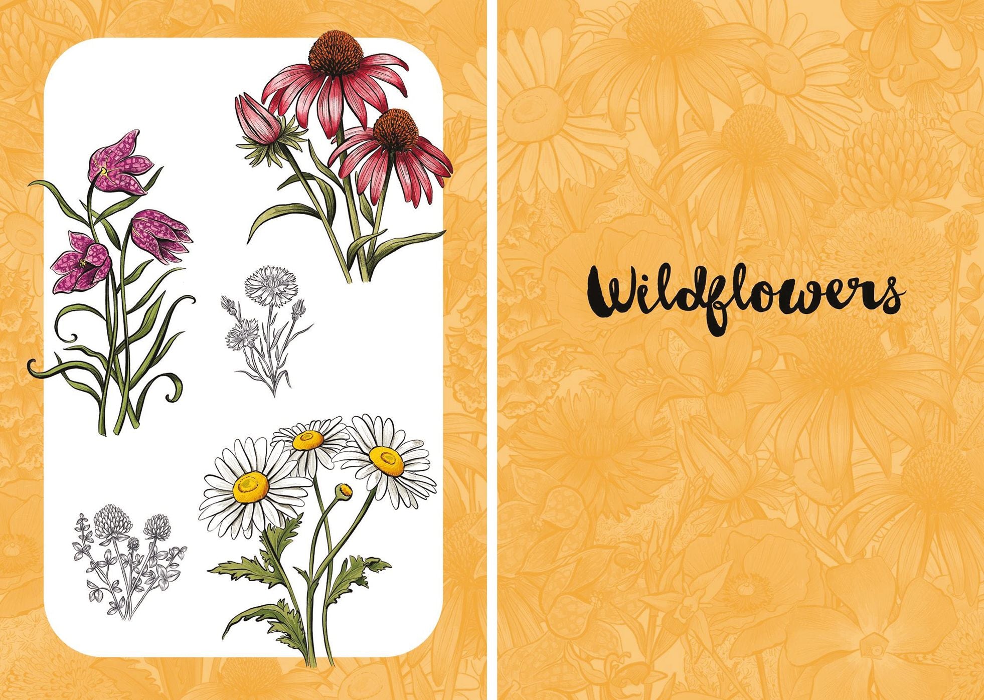 10 Step Drawing: Botanicals: Draw over 50 plants in 10 easy steps