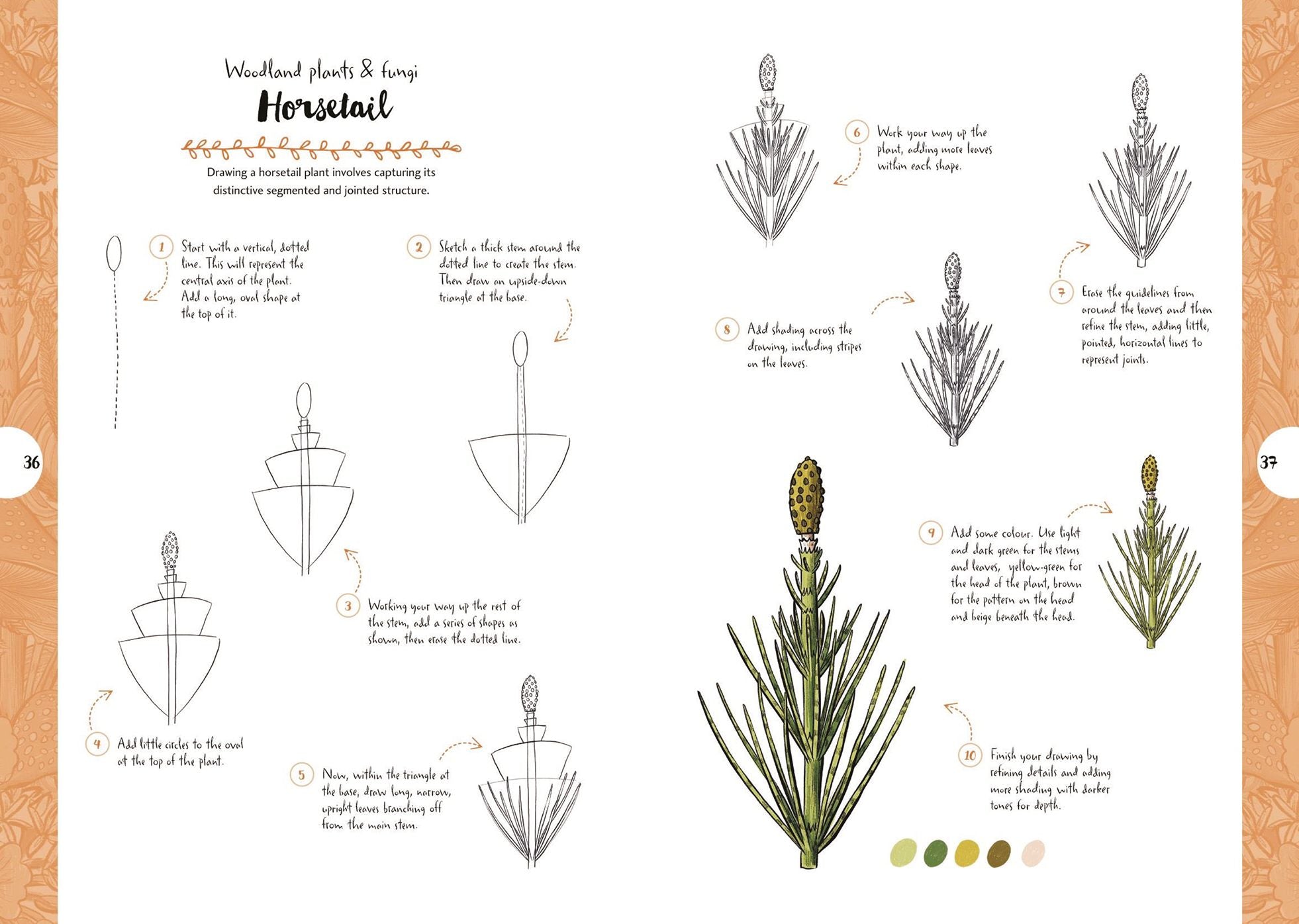 10 Step Drawing: Botanicals: Draw over 50 plants in 10 easy steps