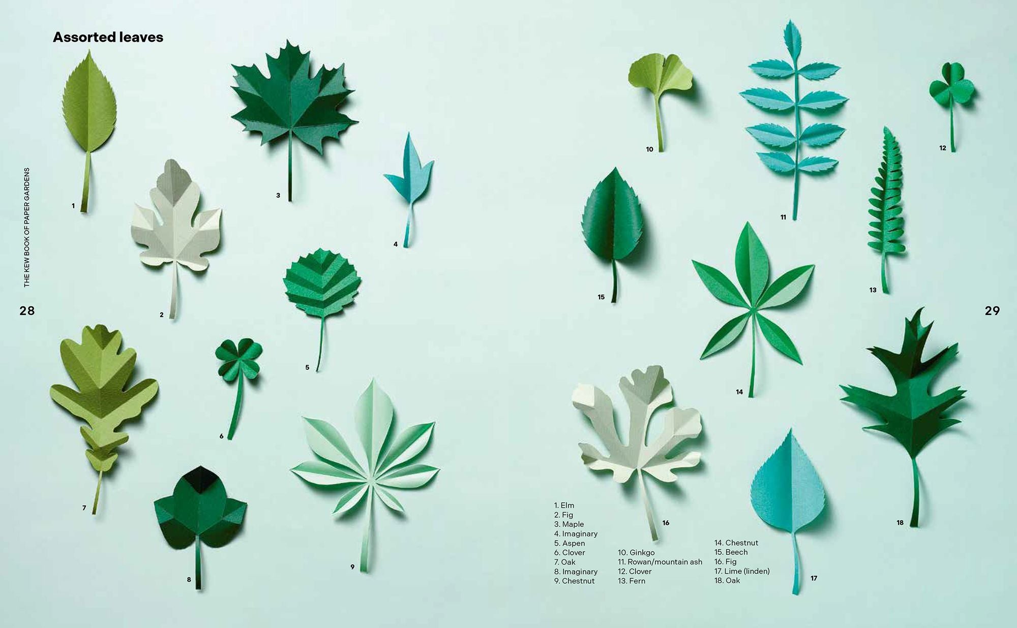 Kew Book of Paper Gardens, The: 50 botanical paper projects to make