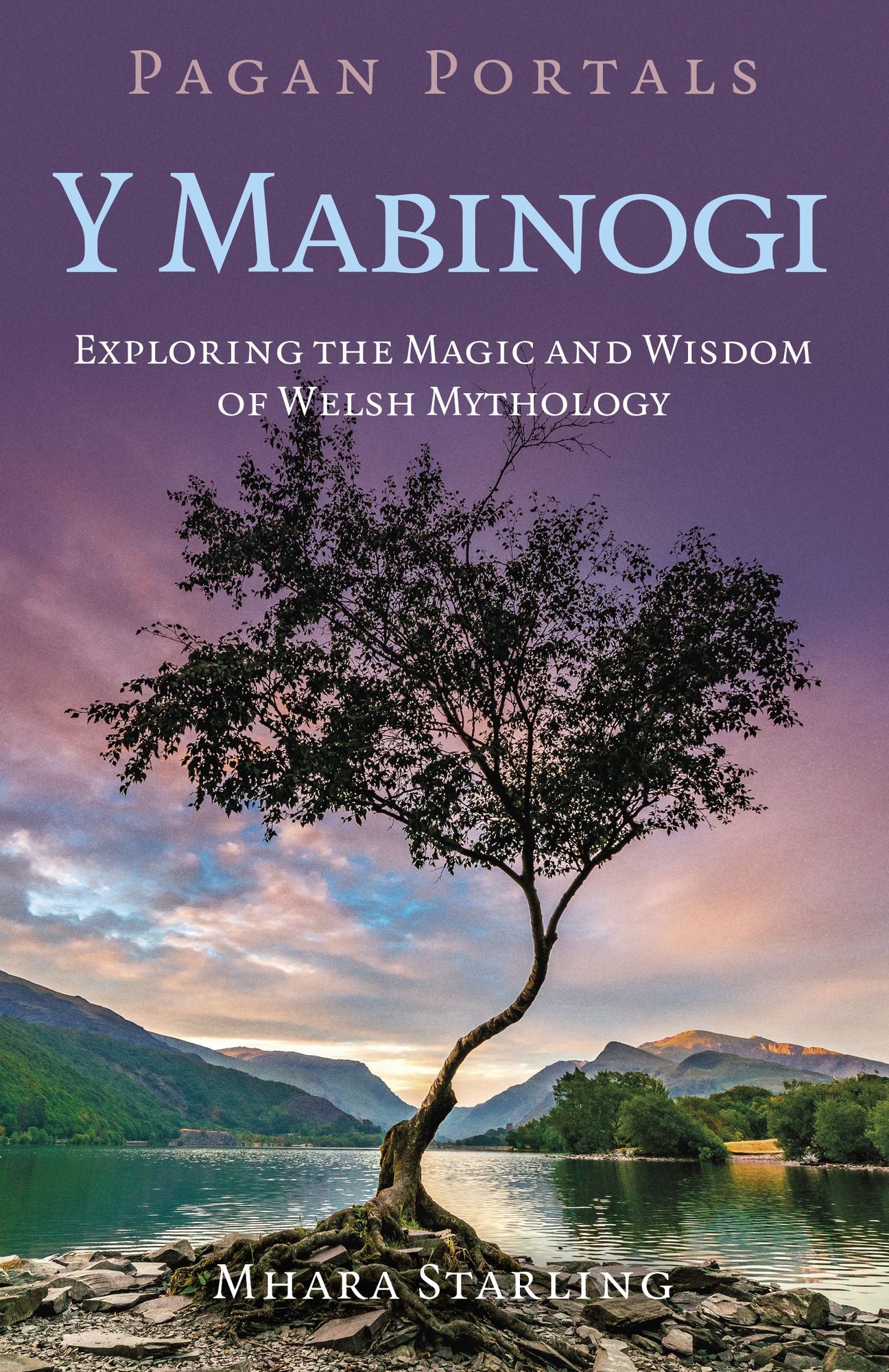Pagan Portals: Y Mabinogi: Exploring the Magic and Wisdom of Welsh Mythology