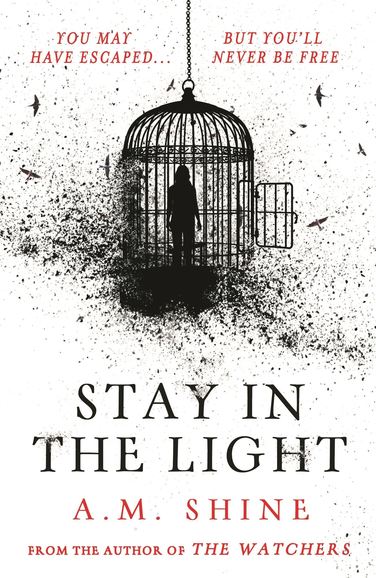 Stay in the Light: the chilling sequel to hit horror novel THE WATCHERS