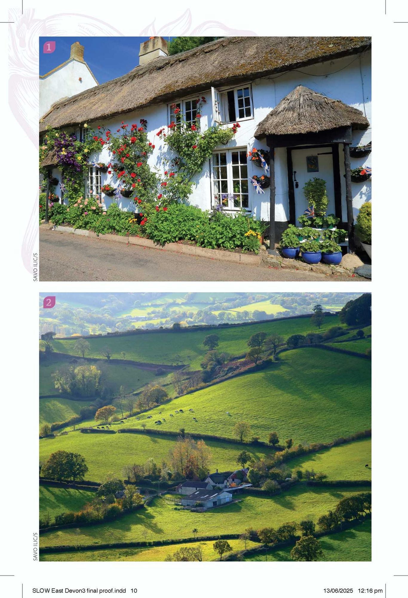 East Devon & The Jurassic Coast: Local, characterful guides to Britain's special places