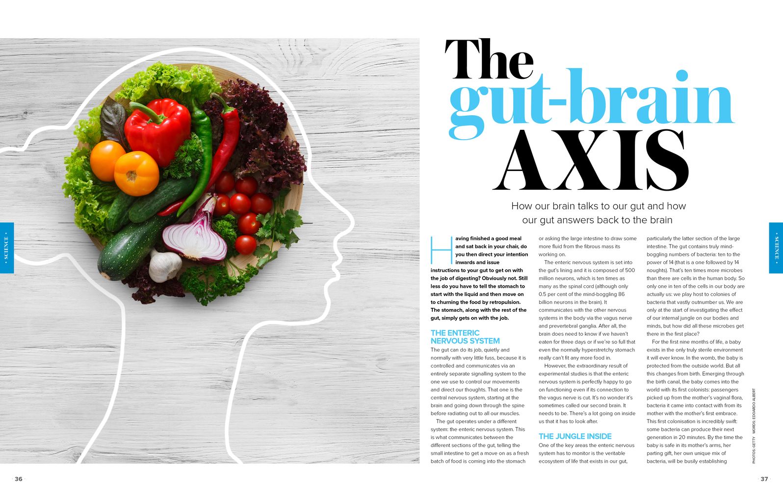 The Gut Health Plan