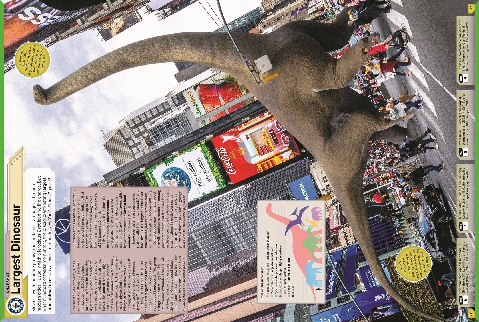 Guinness World Records 2027