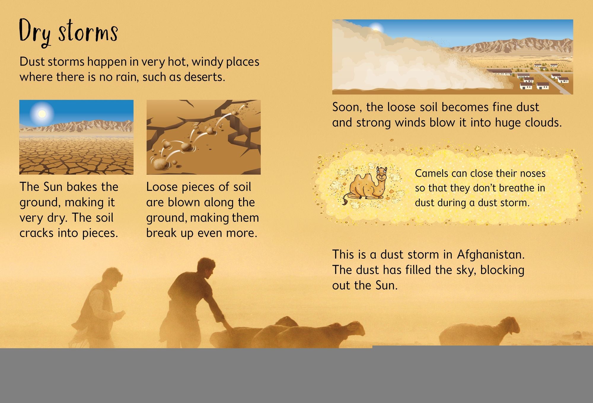 Storms and Hurricanes (Usborne Beginners)