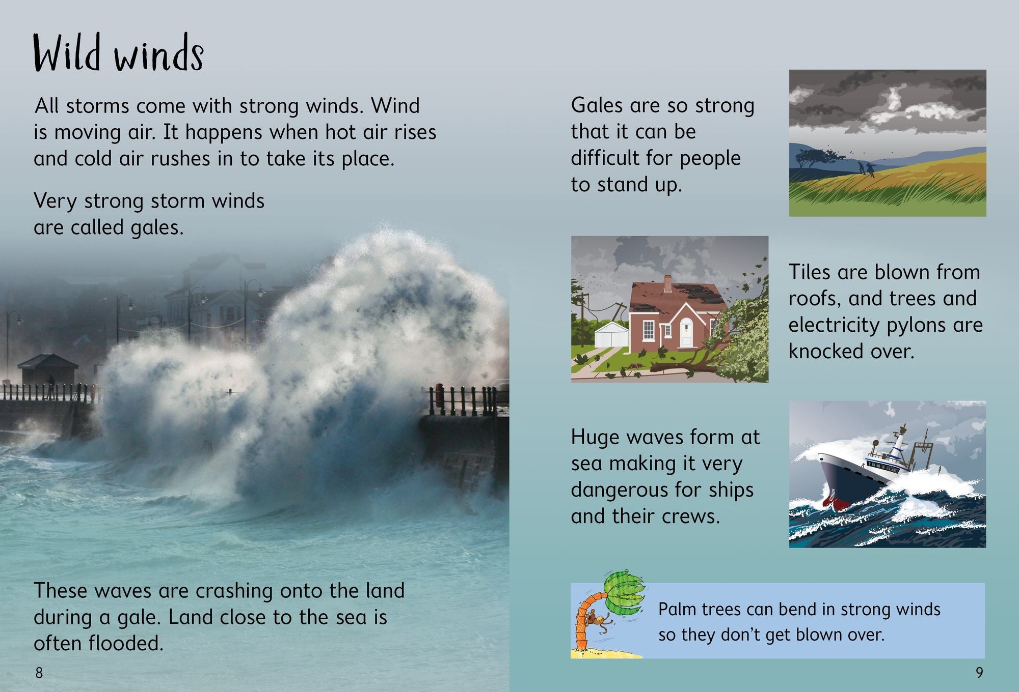 Storms and Hurricanes (Usborne Beginners)