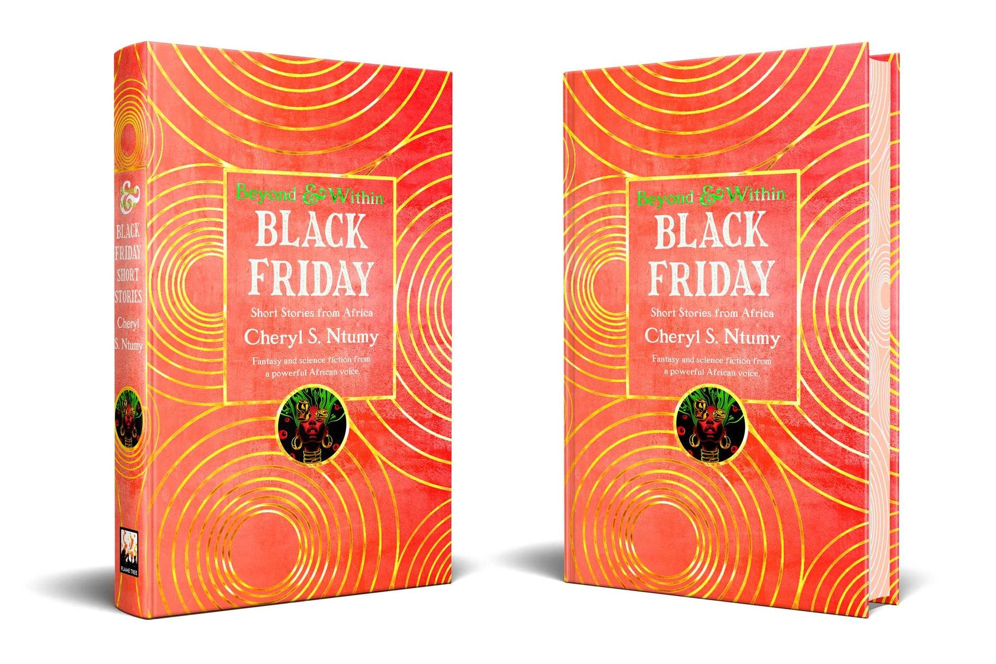 Black Friday: Short Stories from Africa