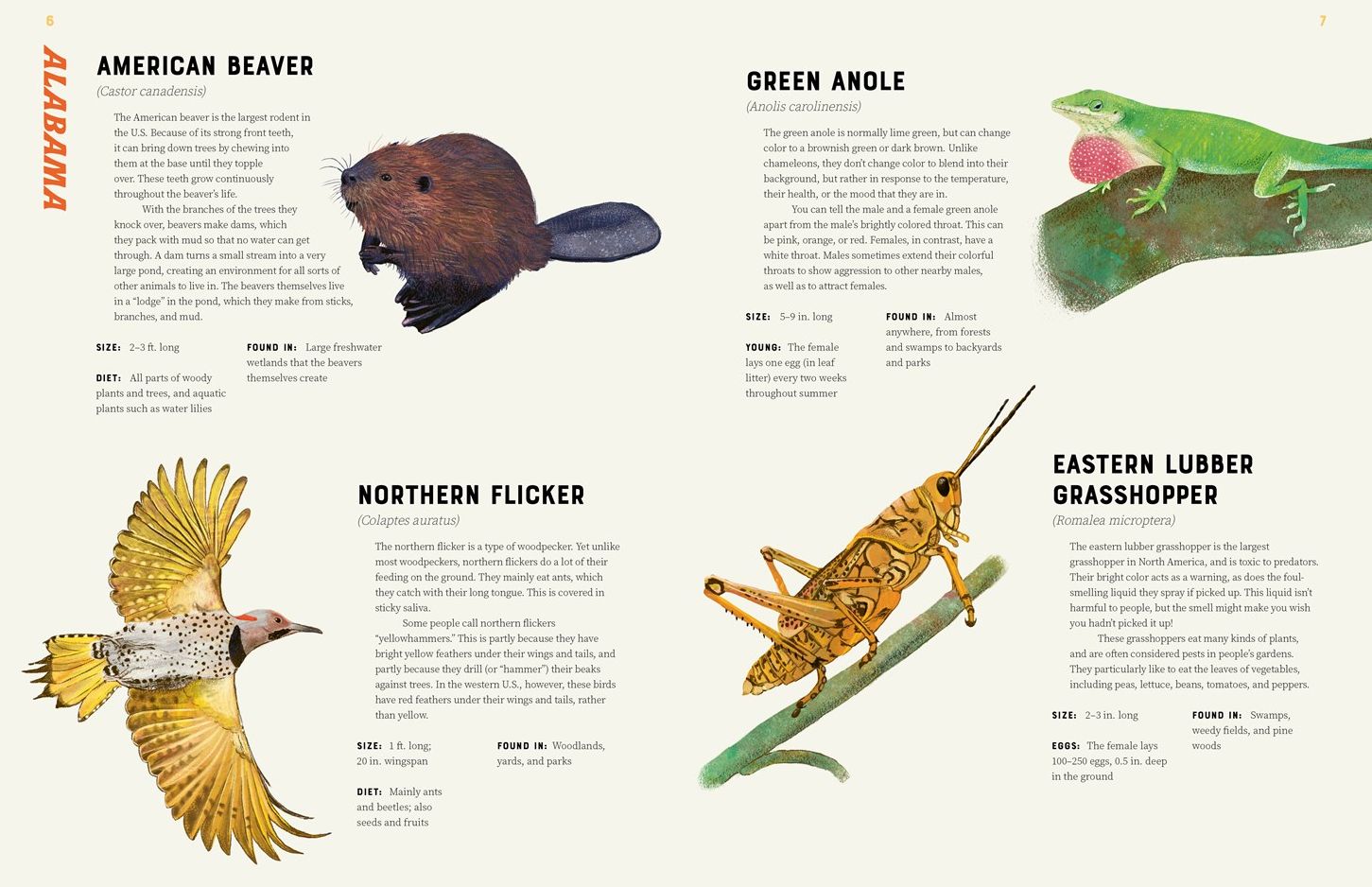 America is Wild!: A State-By-State Encyclopedia of American Wildlife