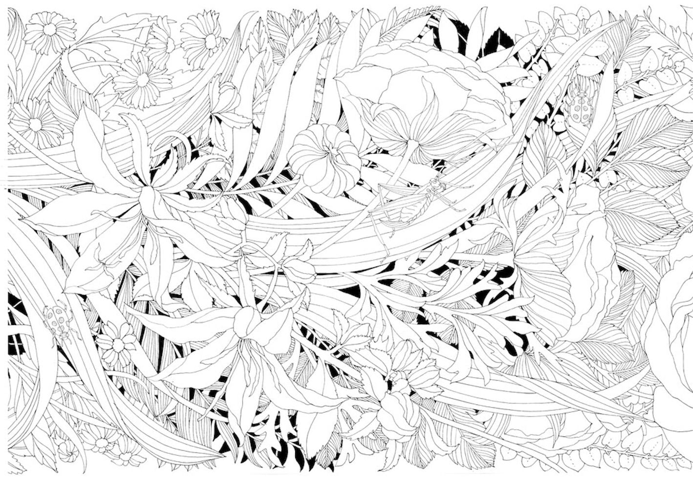 Floralicious: A Coloring Frieze