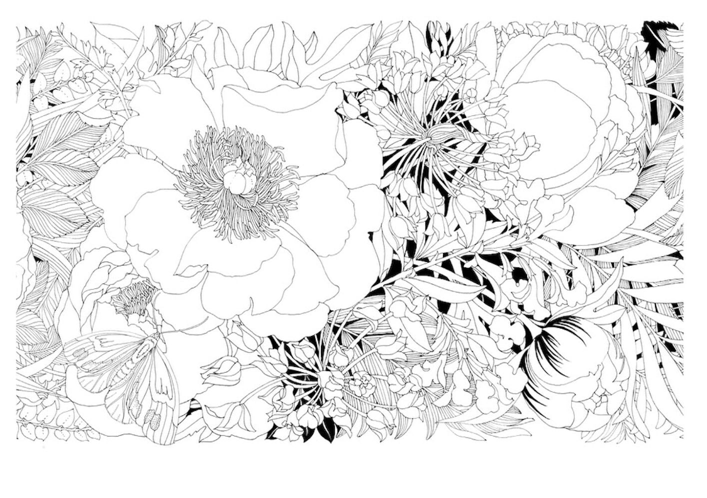 Floralicious: A Coloring Frieze