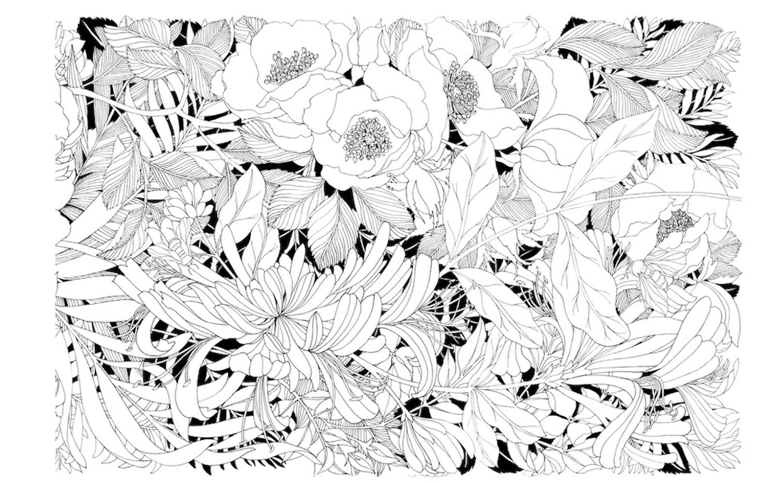 Floralicious: A Coloring Frieze