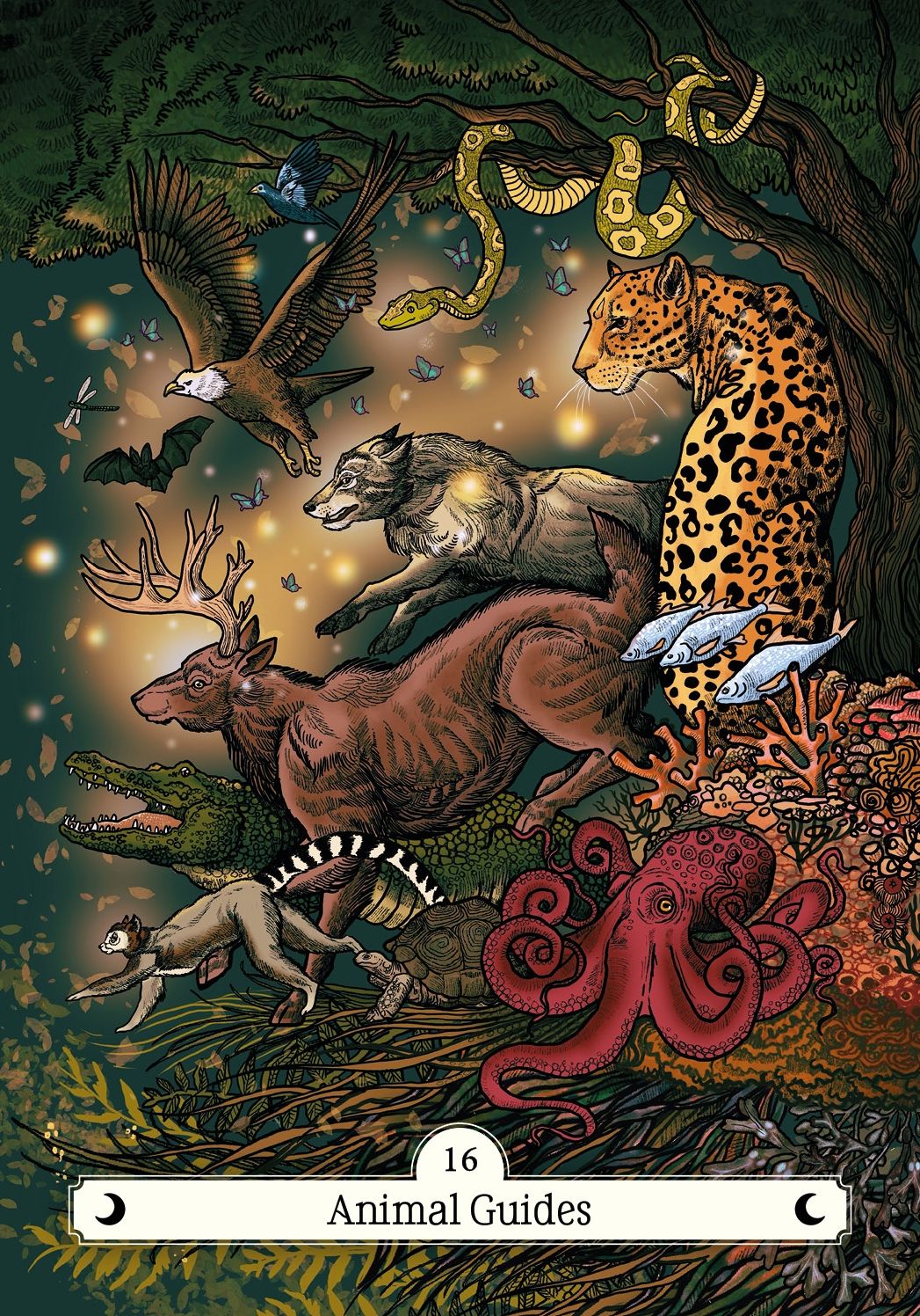 The Witch's Way Home Oracle: A 44-Card Deck and Guidebook