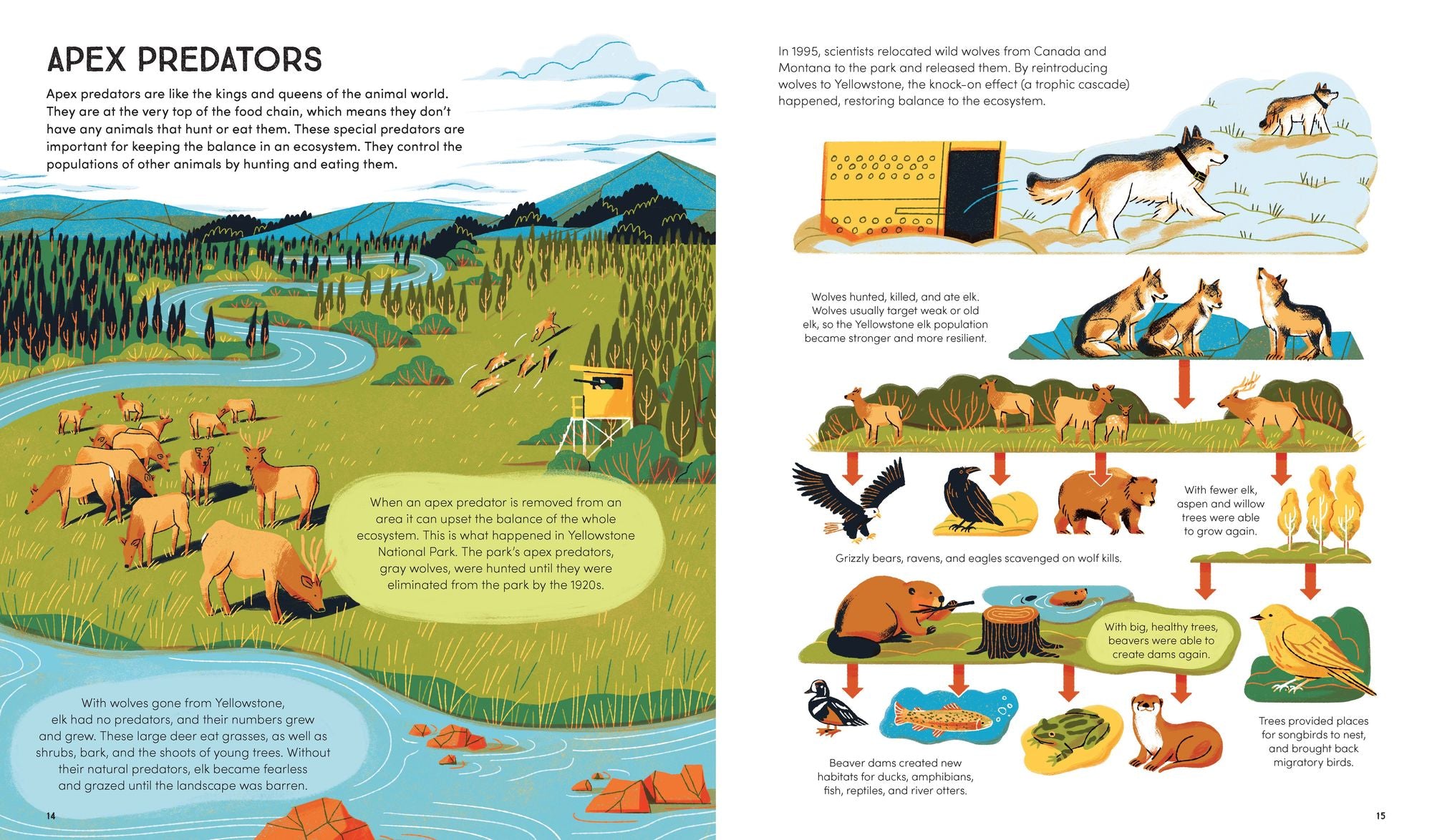 Wildlife in the Balance: The Species that Shape Earth's Ecosystems