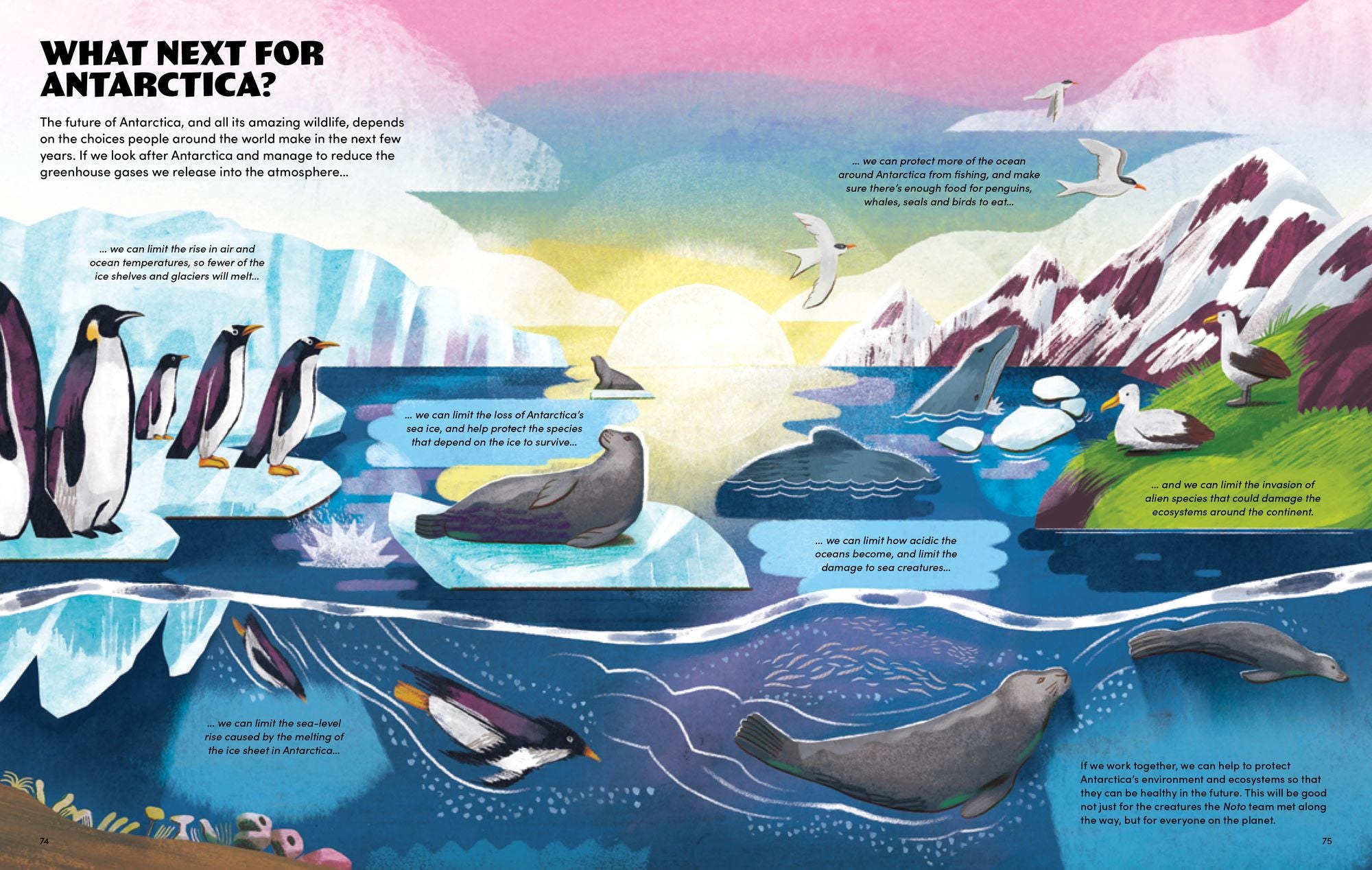 Scientists in the Wild: Antarctica