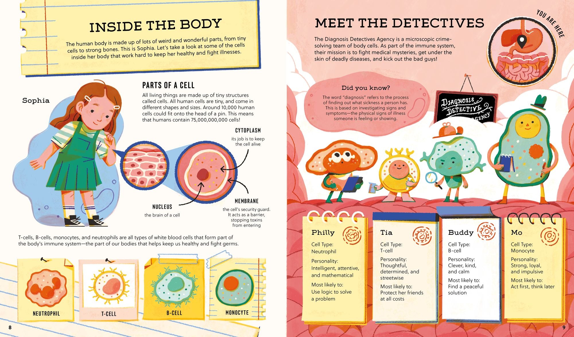 Diagnosis Detectives: Tummy Trouble