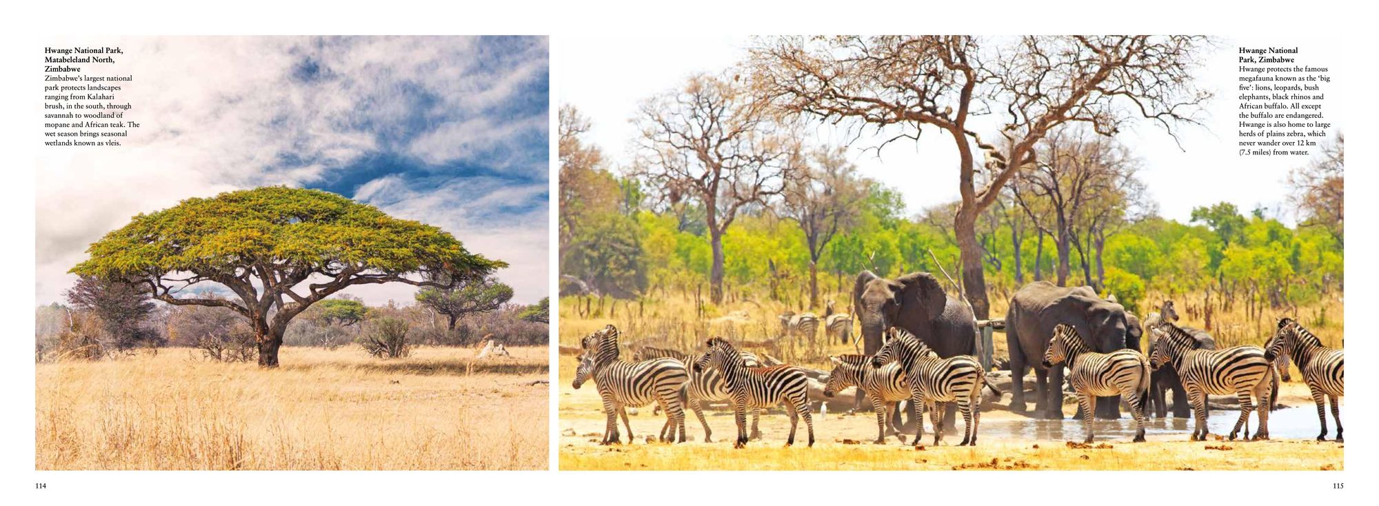 The Wild: The World's Most Spectacular Untamed Places