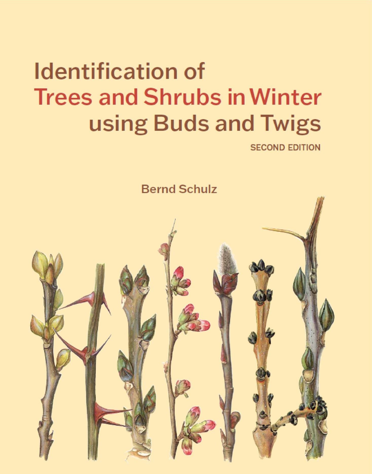 Identification of Trees & Shrubs in Winter Using Buds and Twigs, Second Edition