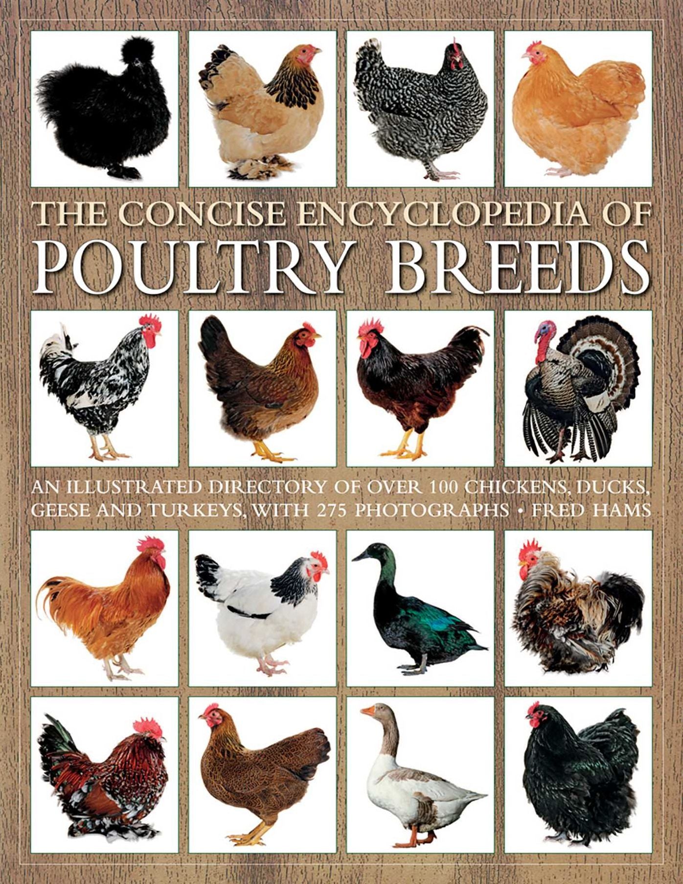 The Concise Encyclopedia of Poultry Breeds: An Illustrated Directory Of Over 100 Chickens, Ducks, Geese And Turkeys, With 275 Photographs