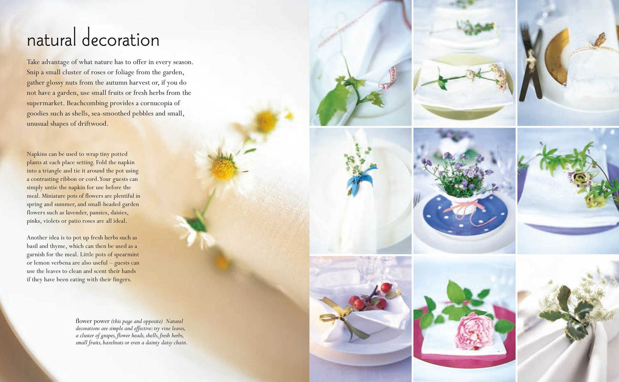 The Art of Napkin Folding: Includes 20 step-by-step napkin folds plus finishing touches for the perfect table setting