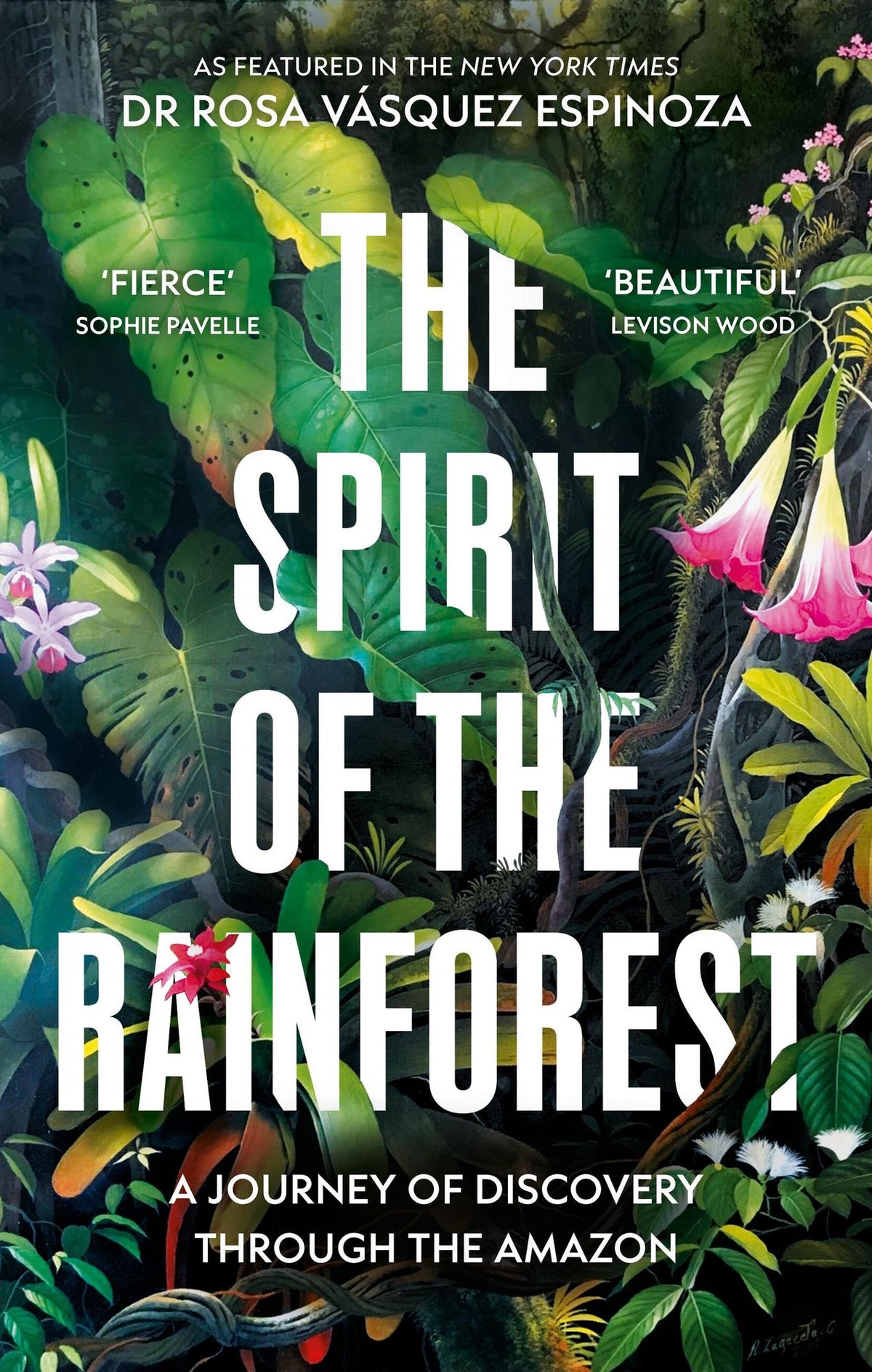 The Spirit of the Rainforest: A Journey of Discovery Through the Amazon